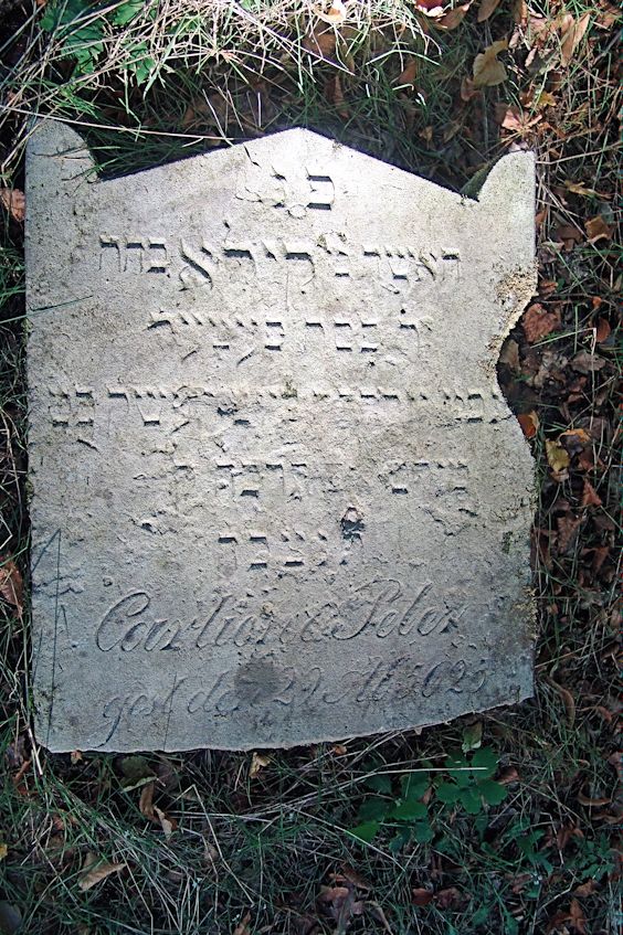 Grabstein Nummer 45 auf dem Friedhof Trzciel (Tirschtiegel)