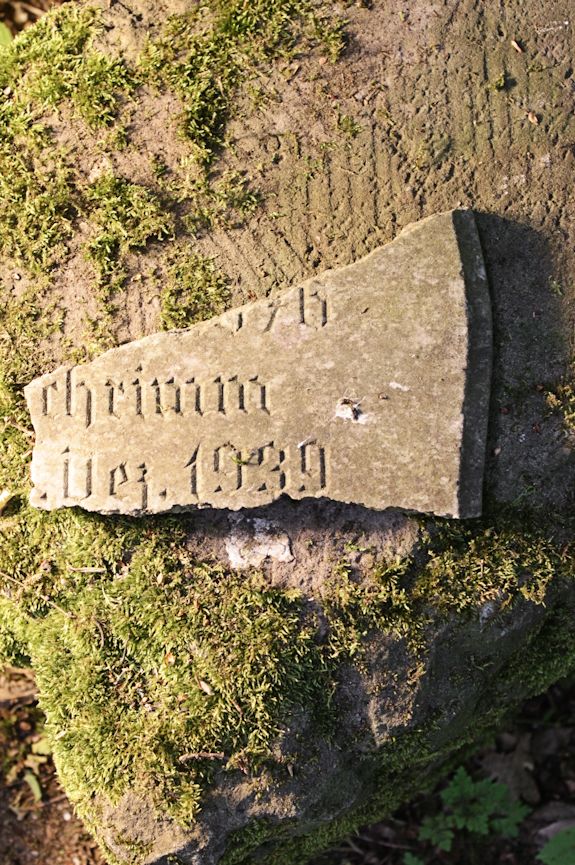 Grabstein Nummer 22 auf dem Friedhof Torzym (Sternberg)