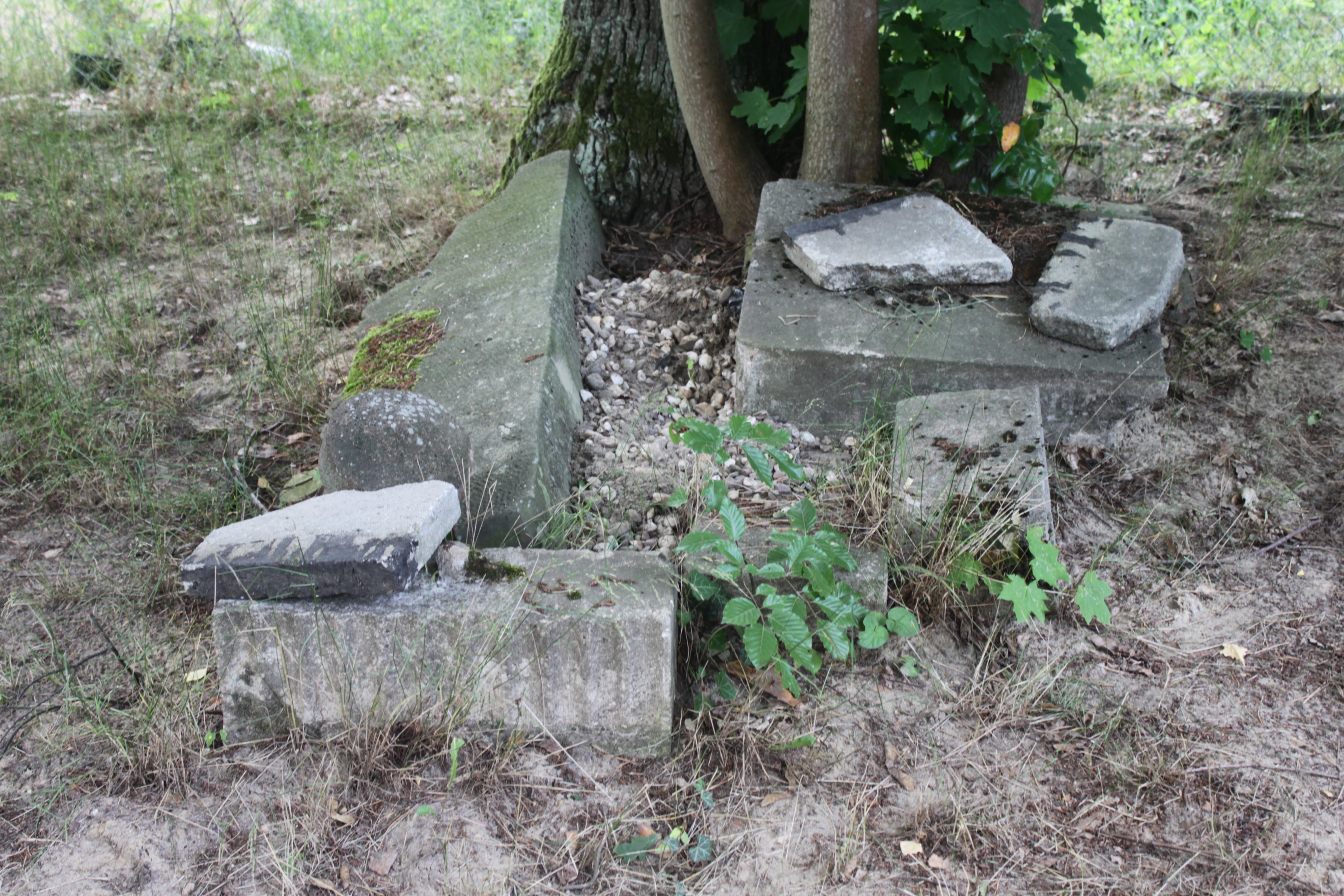 Grabstein Nummer 82 auf dem Friedhof Cottbus 1
