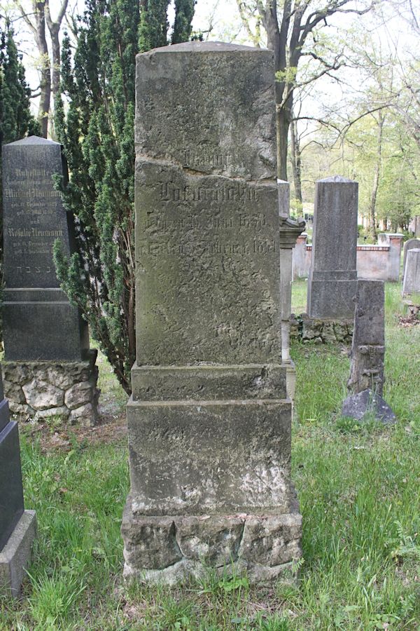 Grabstein Nummer 323 auf dem Friedhof Potsdam