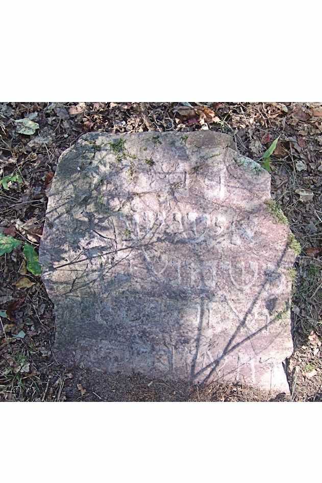 Grabstein Nummer 80 auf dem Friedhof Trzciel (Tirschtiegel)
