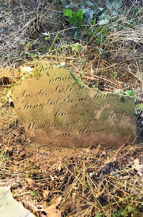 Grabstein Nummer 87 auf dem Friedhof Trzemeszno Lubuskie (Schermeisel)