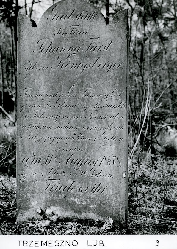 Grabstein Nummer 100 auf dem Friedhof Trzemeszno Lubuskie (Schermeisel)