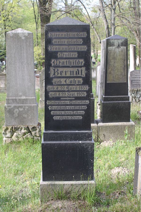 Grabstein Nummer 344 auf dem Friedhof Potsdam