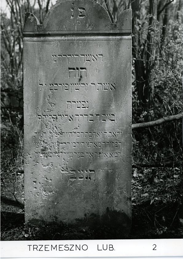 Grabstein Nummer 100 auf dem Friedhof Trzemeszno Lubuskie (Schermeisel)
