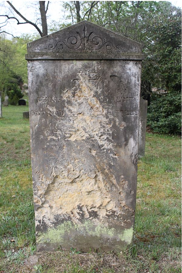 Grabstein Nummer 200 auf dem Friedhof Potsdam