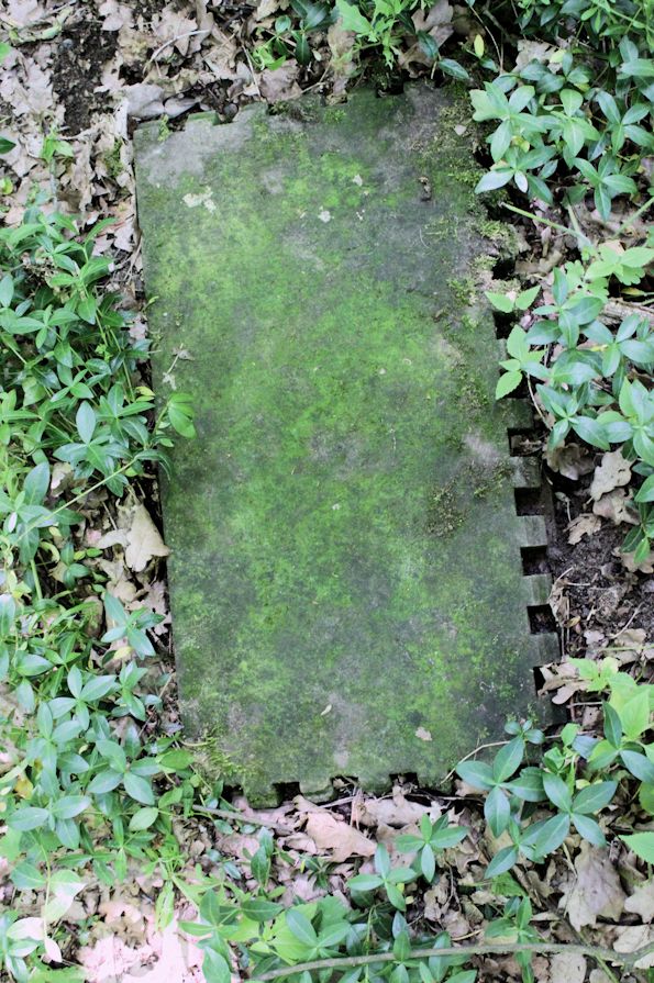 Grabstein Nummer 26 auf dem Friedhof Torzym (Sternberg)