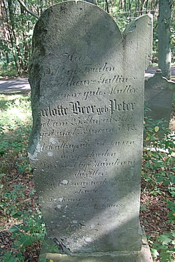 Grabstein Nummer 31 auf dem Friedhof Trzciel (Tirschtiegel)