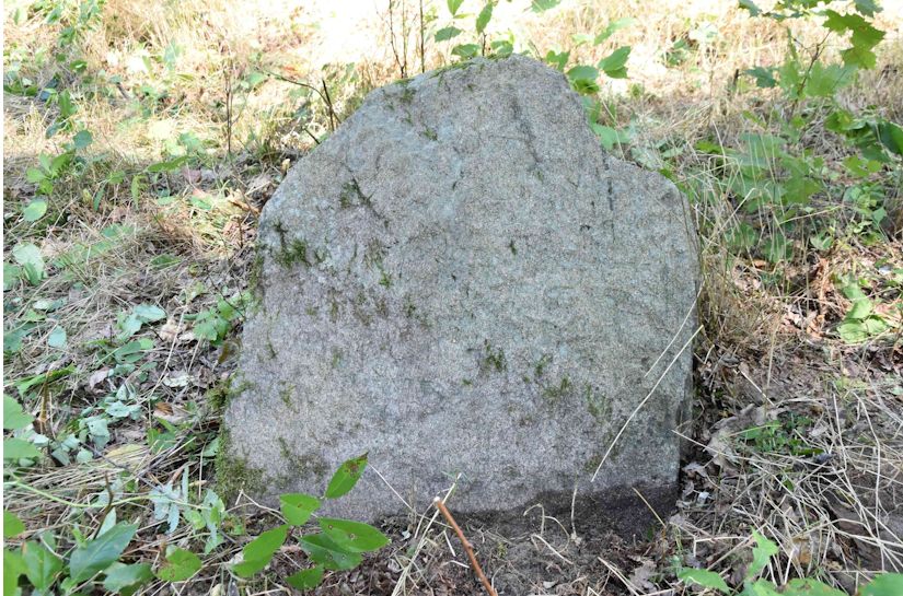Grabstein Nummer 15 auf dem Friedhof Trzemeszno Lubuskie (Schermeisel)
