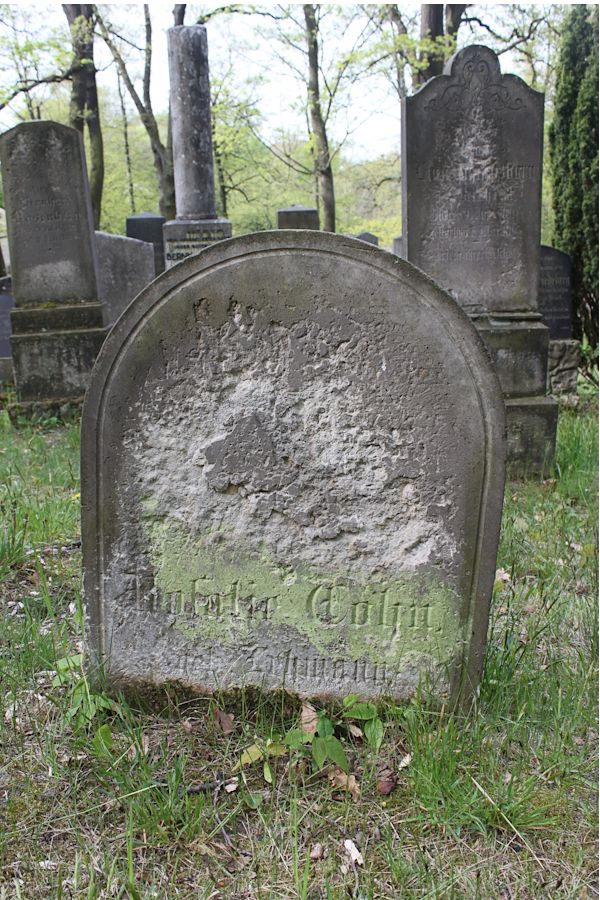 Grabstein Nummer 339 auf dem Friedhof Potsdam