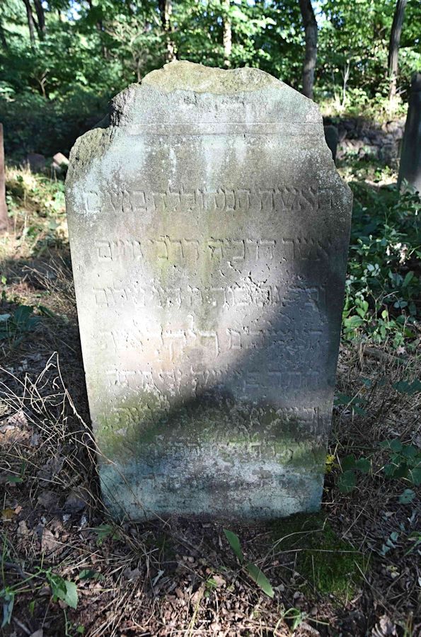 Grabstein Nummer 70 auf dem Friedhof Trzemeszno Lubuskie (Schermeisel)
