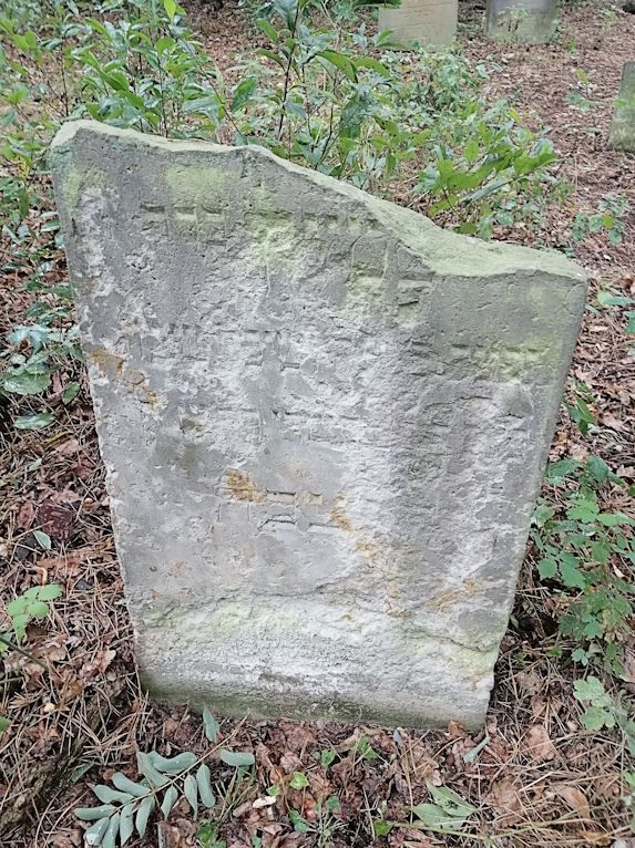 Grabstein Nummer 128 auf dem Friedhof Trzciel (Tirschtiegel)
