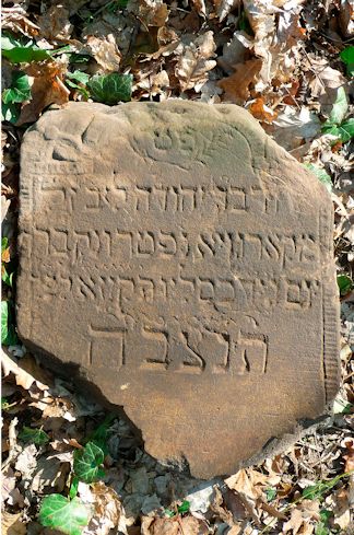 Grabstein Nummer 779 auf dem Friedhof Frankfurt/Oder