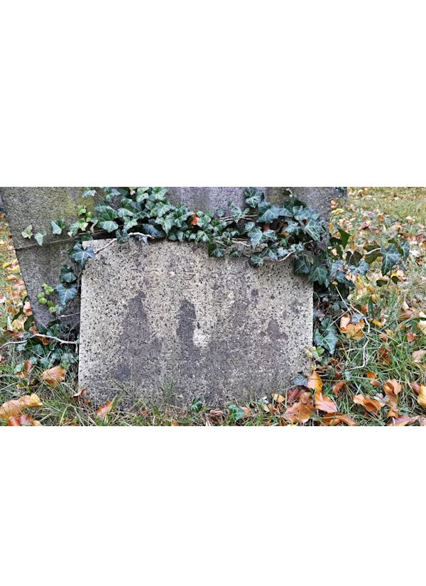 Grabstein Nummer 504 auf dem Friedhof Potsdam