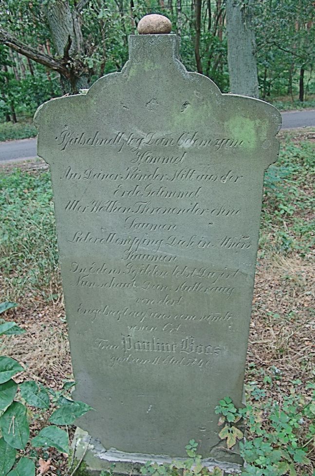 Grabstein Nummer 20 auf dem Friedhof Trzciel (Tirschtiegel)