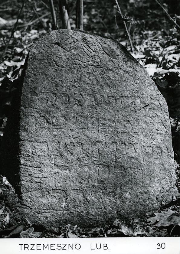 Grabstein Nummer 1 auf dem Friedhof Trzemeszno Lubuskie (Schermeisel)