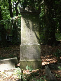 Grabstein Nummer 9 auf dem Friedhof Lindow