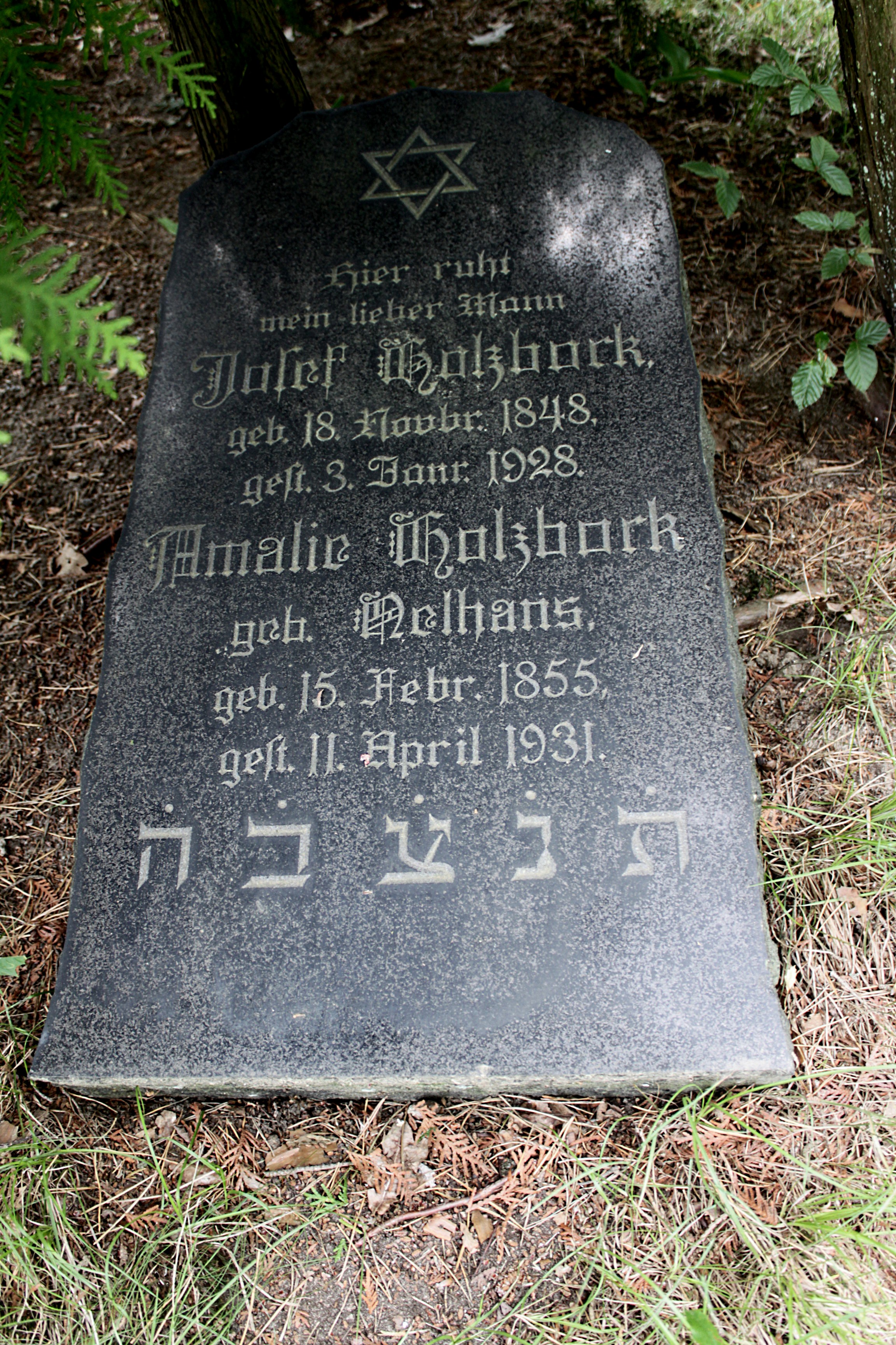 Grabstein Nummer 22 auf dem Friedhof Cottbus 1