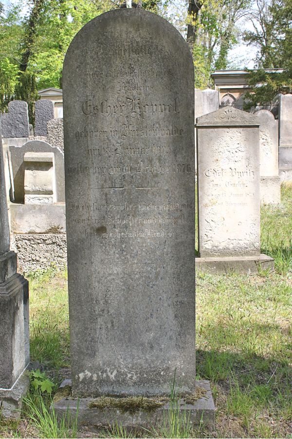 Grabstein Nummer 236 auf dem Friedhof Potsdam