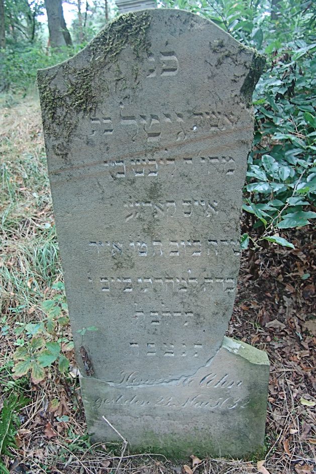 Grabstein Nummer 40 auf dem Friedhof Trzciel (Tirschtiegel)