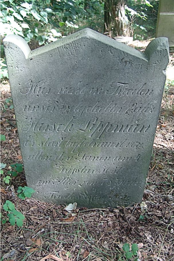 Grabstein Nummer 113 auf dem Friedhof Trzciel (Tirschtiegel)