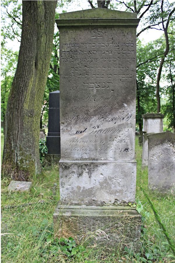 Grabstein Nummer 226 auf dem Friedhof Potsdam