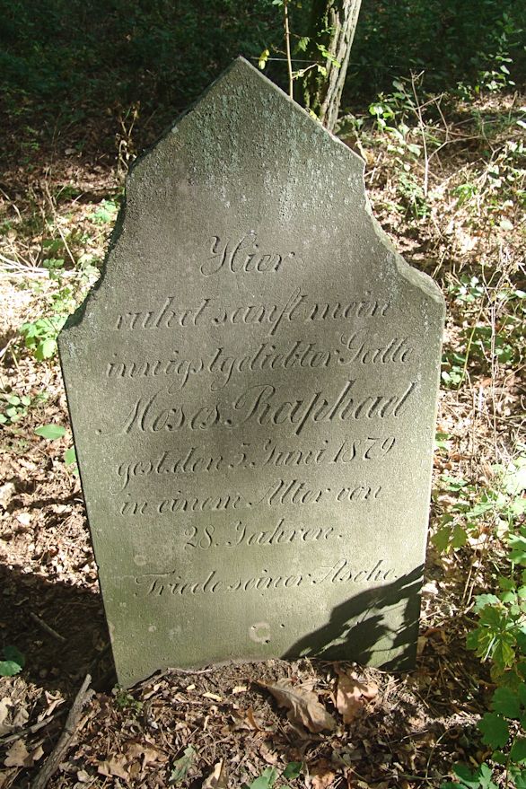 Grabstein Nummer 105 auf dem Friedhof Trzciel (Tirschtiegel)
