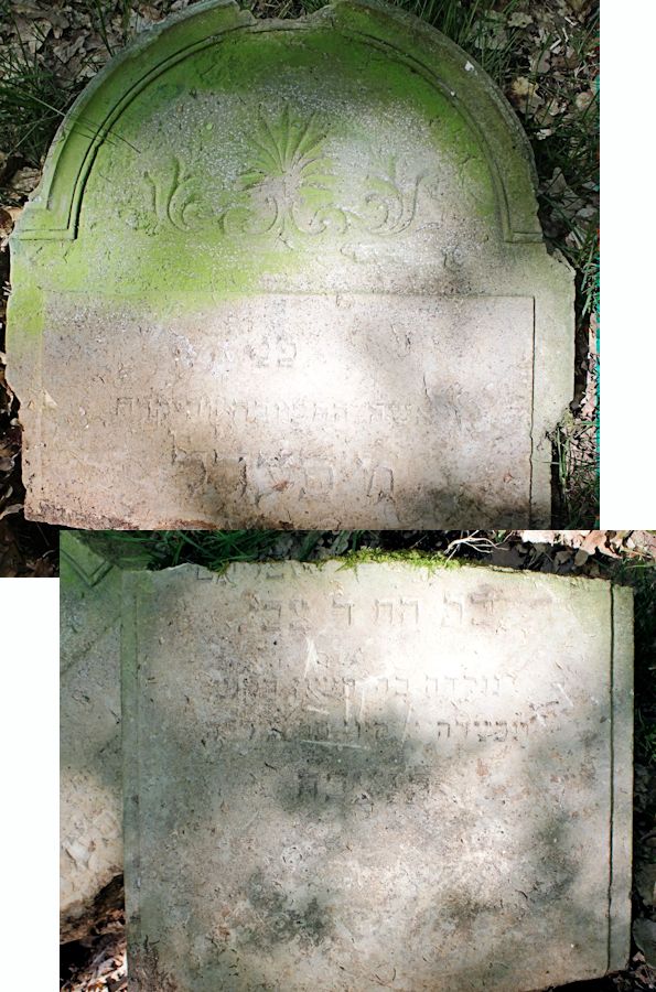 Grabstein Nummer 103 auf dem Friedhof Bledzew (Blesen)