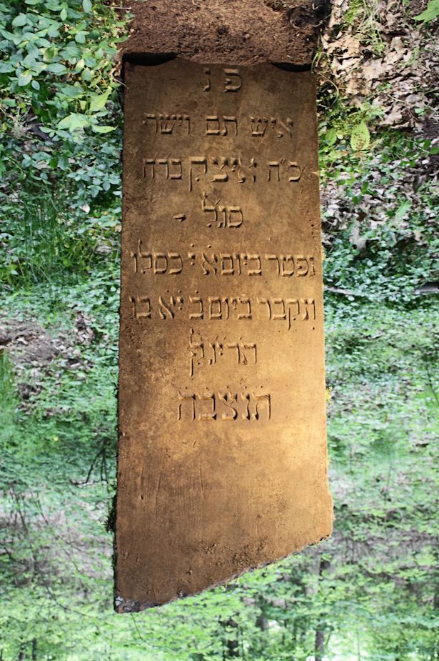 Grabstein Nummer 8 auf dem Friedhof Torzym (Sternberg)