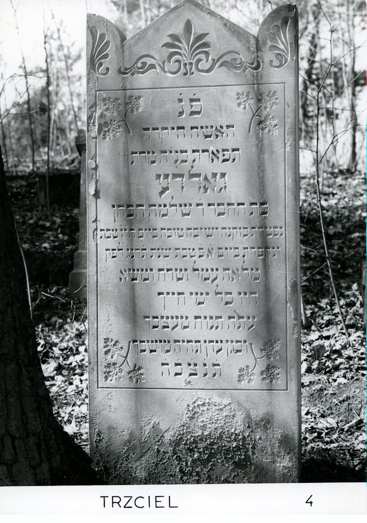 Grabstein Nummer 13 auf dem Friedhof Trzciel (Tirschtiegel)
