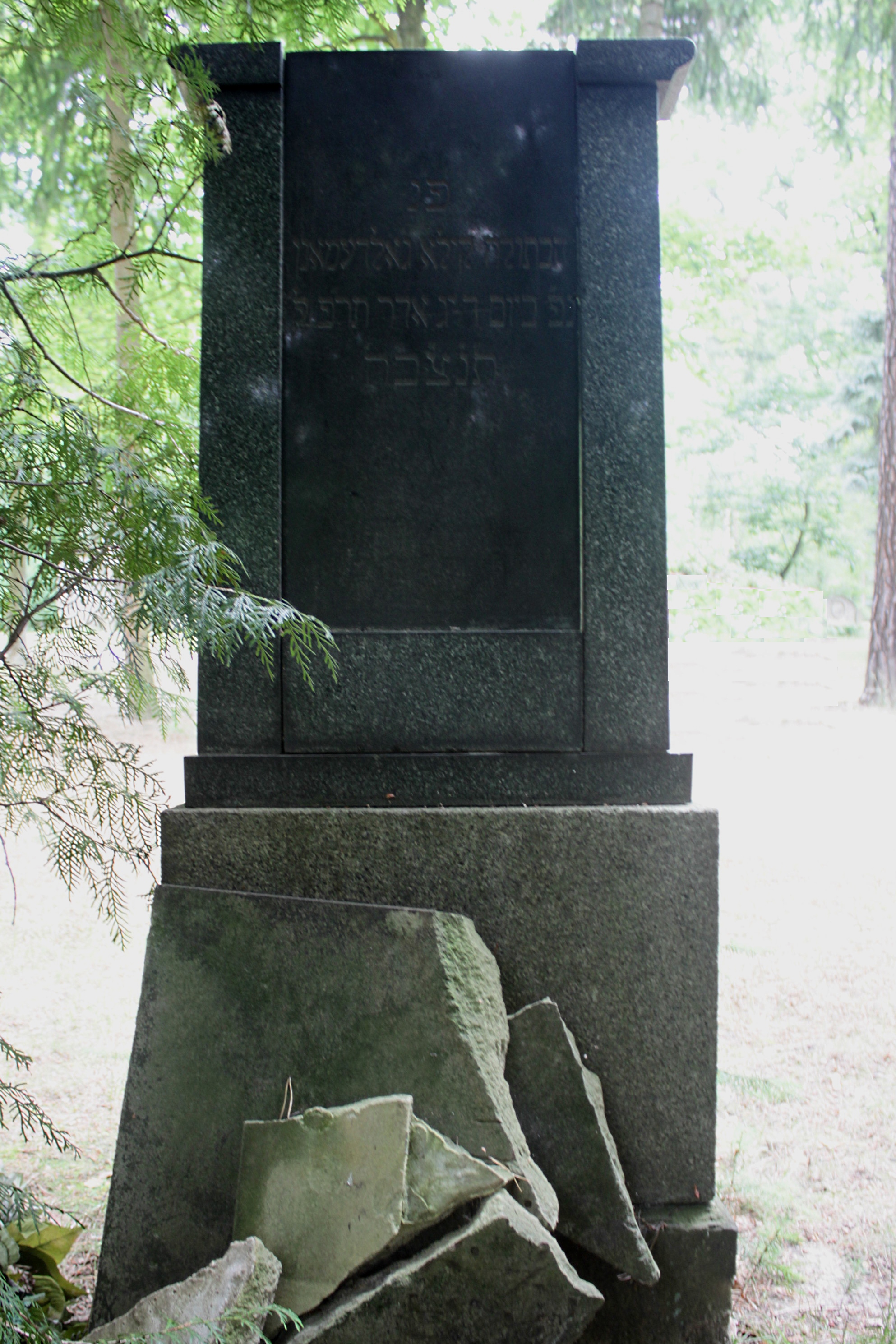 Grabstein Nummer 54 auf dem Friedhof Cottbus 1