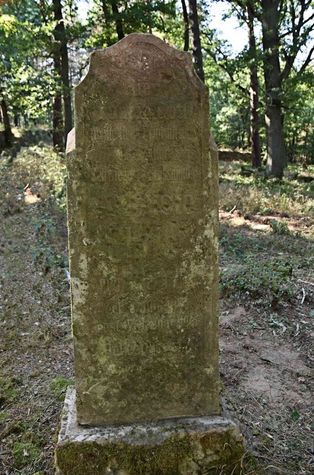 Grabstein Nummer 50 auf dem Friedhof Trzemeszno Lubuskie (Schermeisel)