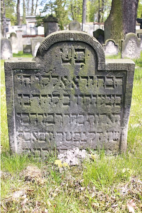 Grabstein Nummer 50 auf dem Friedhof Potsdam
