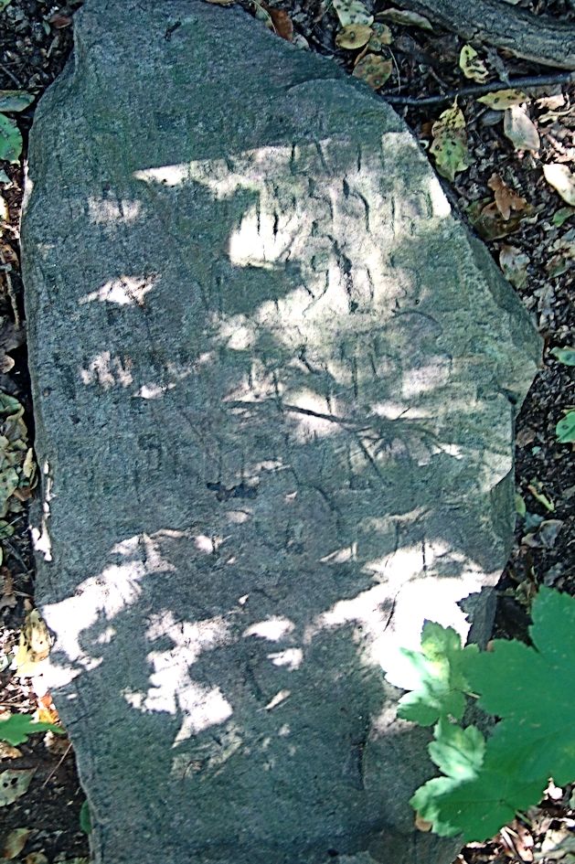 Grabstein Nummer 157 auf dem Friedhof Trzciel (Tirschtiegel)