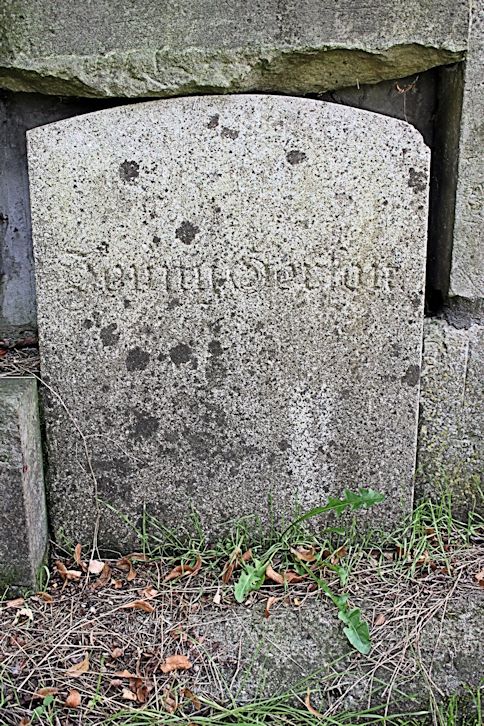 Grabstein Nummer 25 auf dem Friedhof Witnica (Vietz)