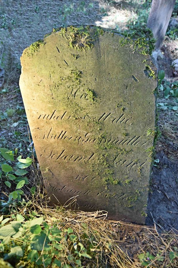 Grabstein Nummer 45 auf dem Friedhof Trzemeszno Lubuskie (Schermeisel)