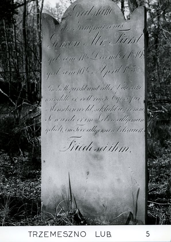 Grabstein Nummer 99 auf dem Friedhof Trzemeszno Lubuskie (Schermeisel)
