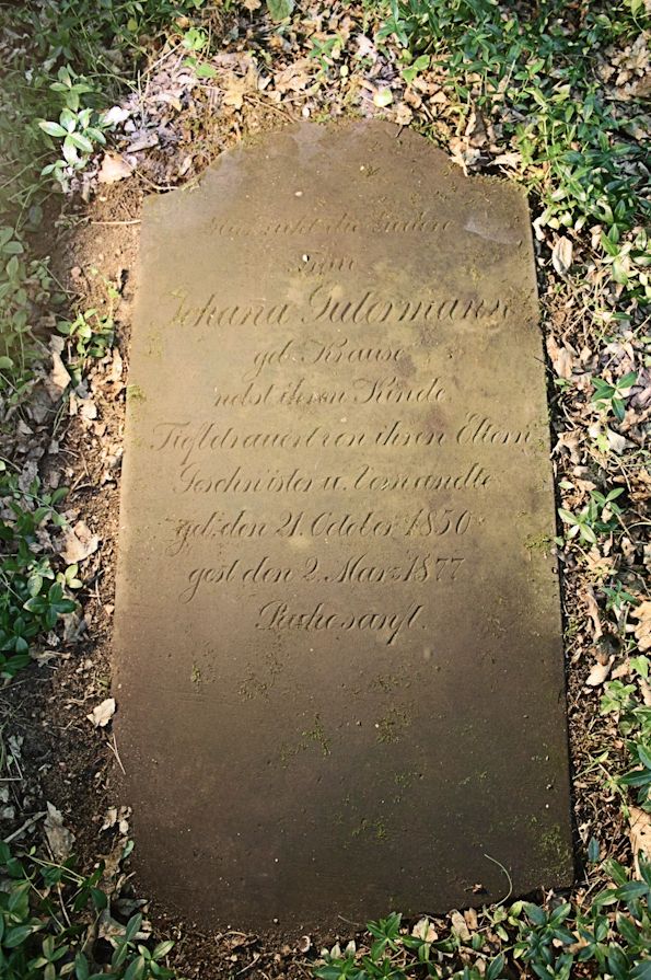 Grabstein Nummer 14 auf dem Friedhof Torzym (Sternberg)