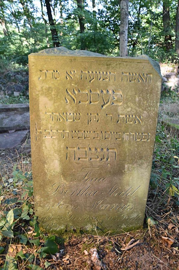 Grabstein Nummer 92 auf dem Friedhof Trzemeszno Lubuskie (Schermeisel)