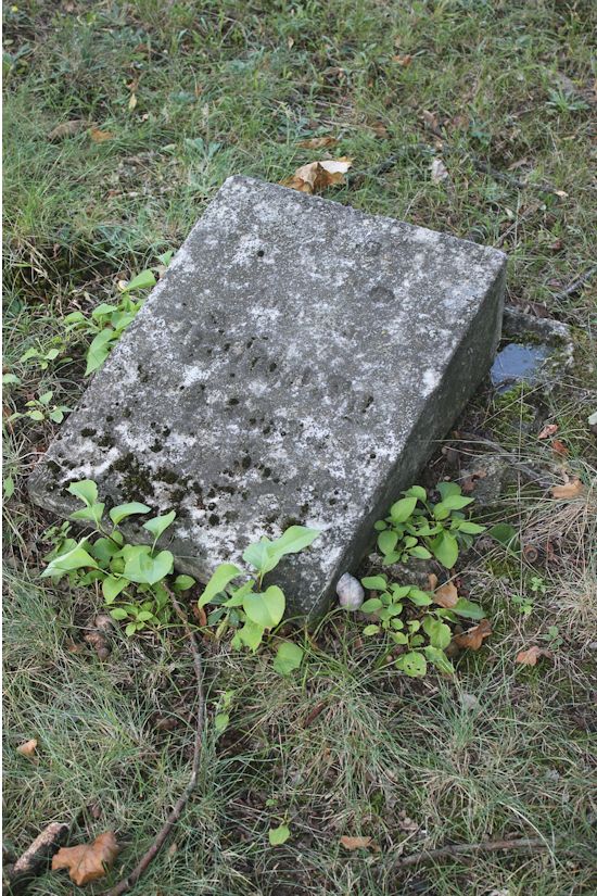 Grabstein Nummer 101 auf dem Friedhof Guben