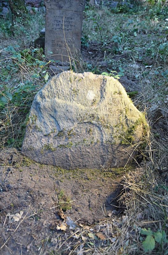 Grabstein Nummer 97 auf dem Friedhof Trzemeszno Lubuskie (Schermeisel)