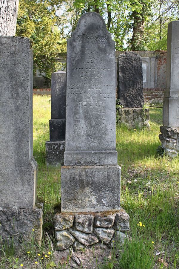 Grabstein Nummer 316 auf dem Friedhof Potsdam