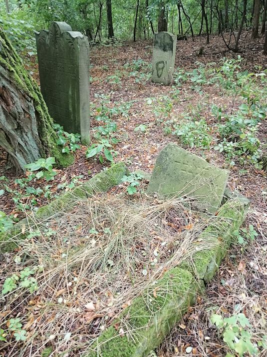 Grabstein Nummer 118 auf dem Friedhof Trzciel (Tirschtiegel)