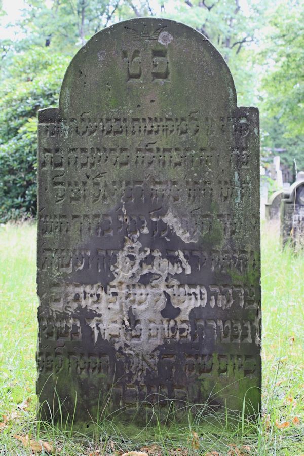 Grabstein Nummer 13 auf dem Friedhof Potsdam