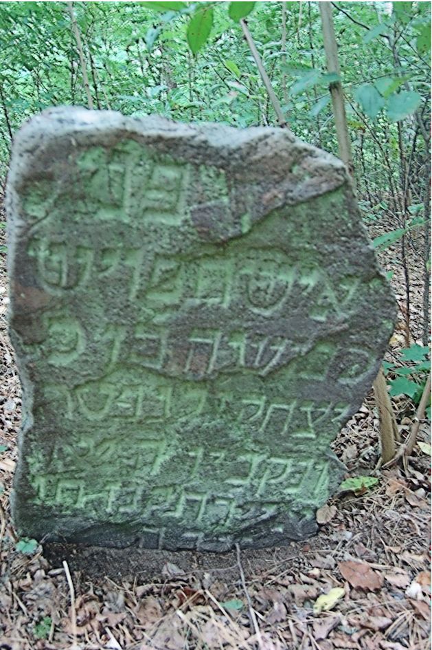 Grabstein Nummer 54 auf dem Friedhof Trzciel (Tirschtiegel)