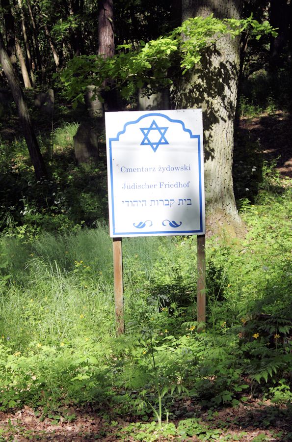 Grabstein Nummer 161 auf dem Friedhof Trzciel (Tirschtiegel)