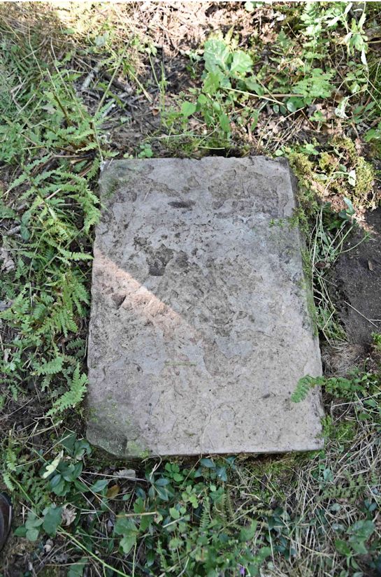 Grabstein Nummer 49 auf dem Friedhof Trzemeszno Lubuskie (Schermeisel)