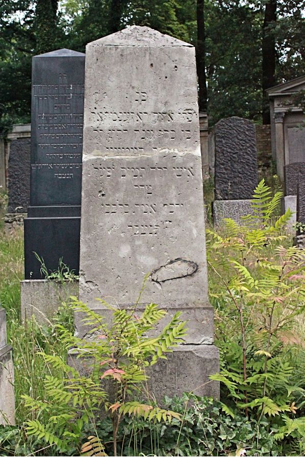 Grabstein Nummer 307 auf dem Friedhof Potsdam