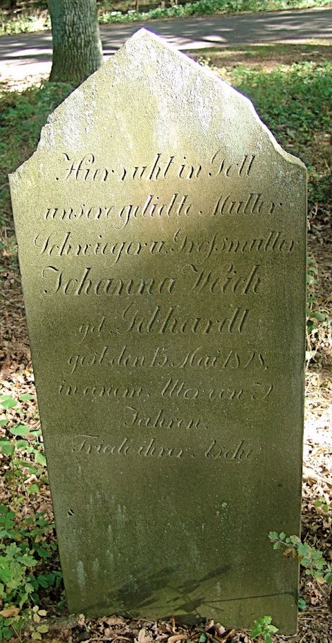 Grabstein Nummer 24 auf dem Friedhof Trzciel (Tirschtiegel)
