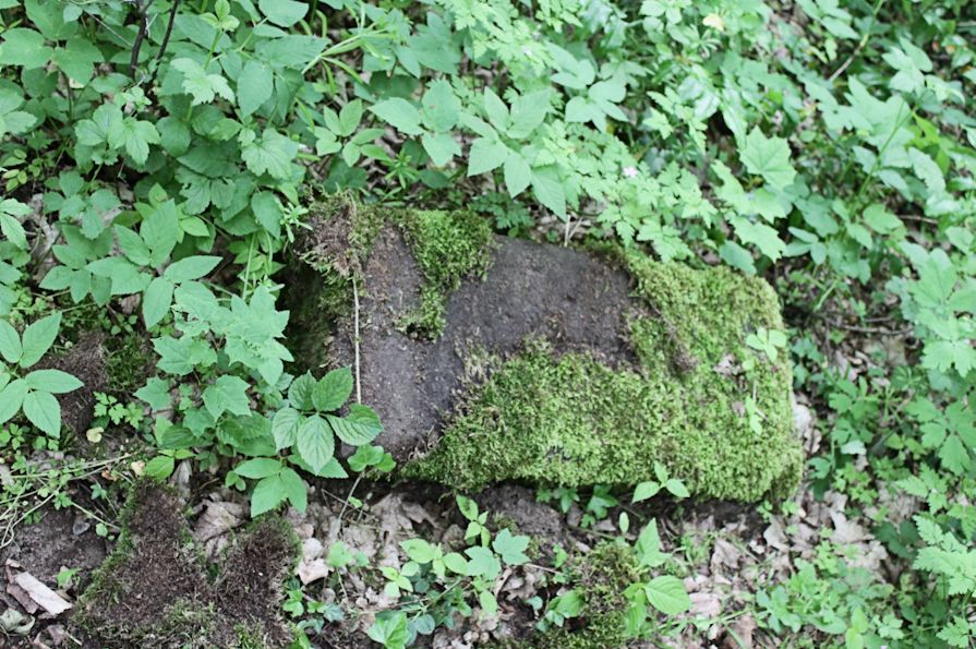 Grabstein Nummer 9 auf dem Friedhof Torzym (Sternberg)